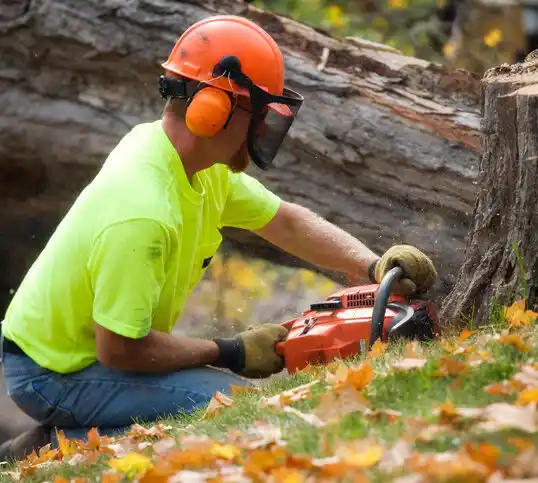 tree services Seabrook Farms